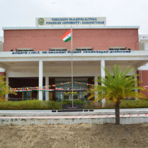 untitled design (53)